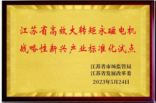 江苏省高效大转矩永磁电机战略性新兴产业标准化试点
